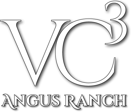 VC3 Angus Ranch